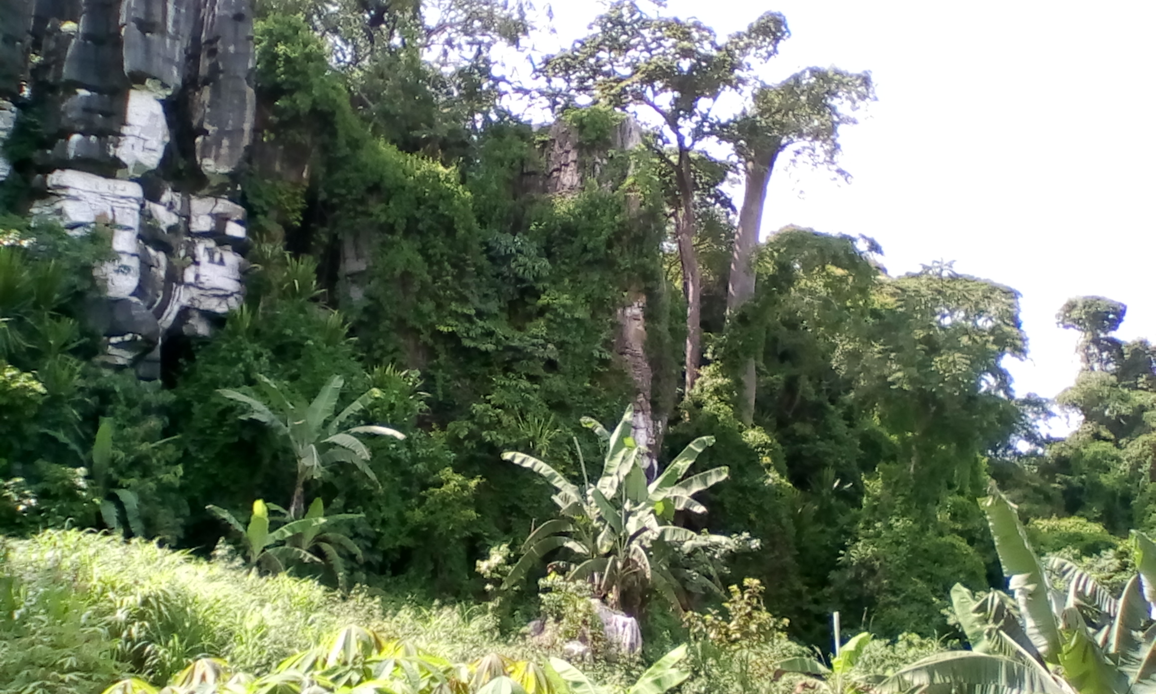 Republique Democratique de Congo